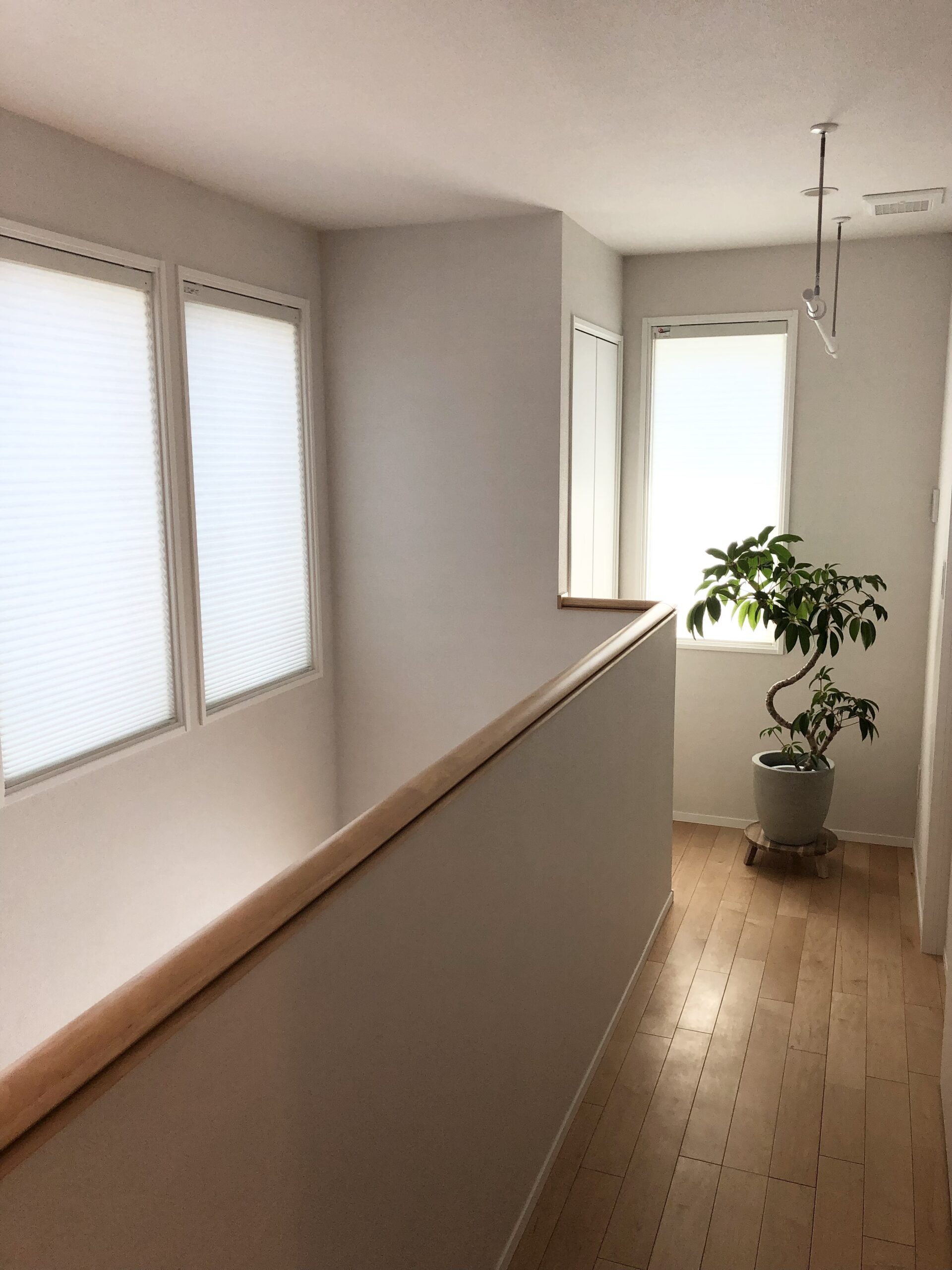 ハニカムシェード 断熱と遮熱 どちらにするか【一条工務店】｜一条で