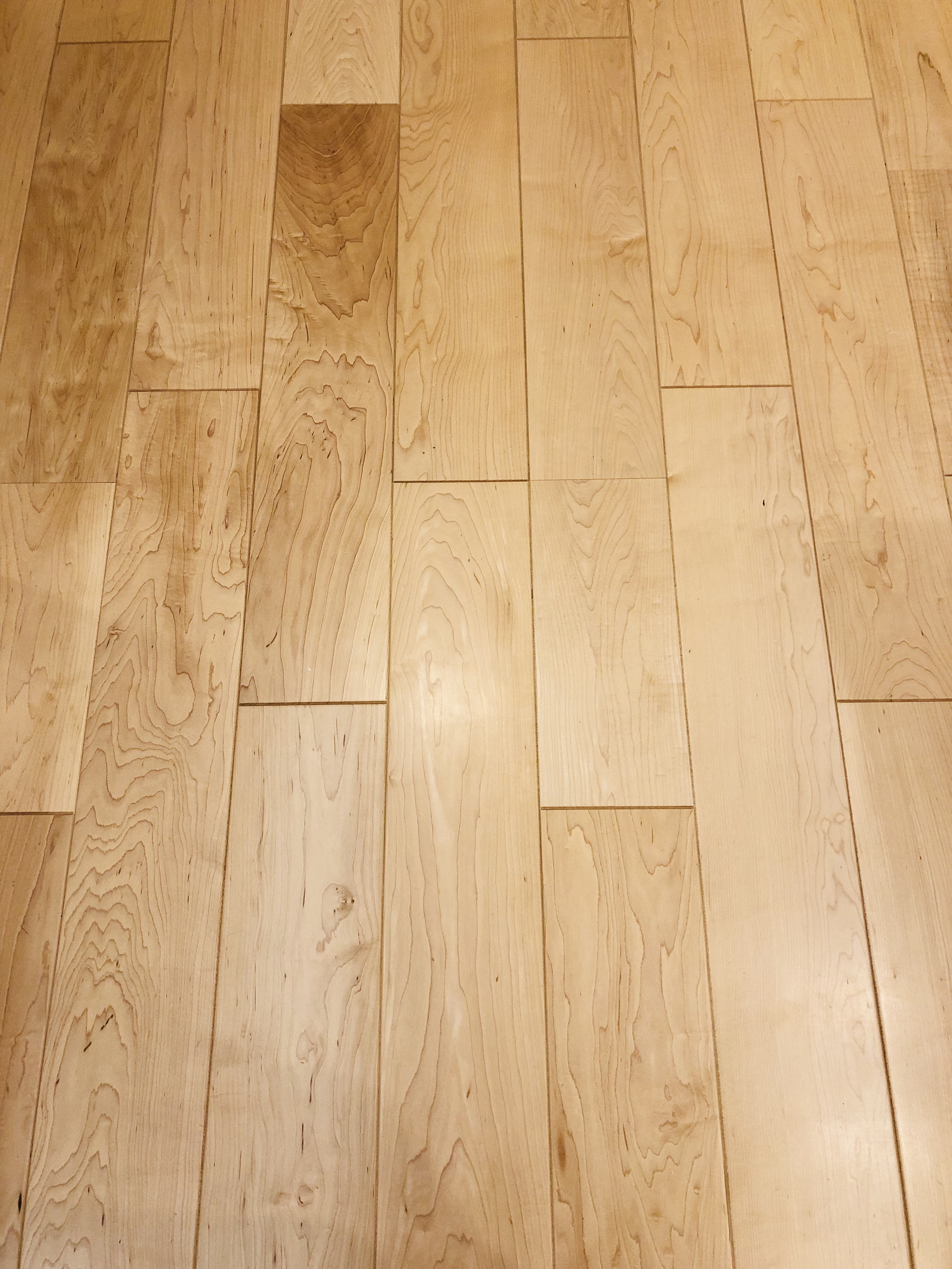 ライブナチュラルプレミアムのメリットとデメリットについて【一条工務店】